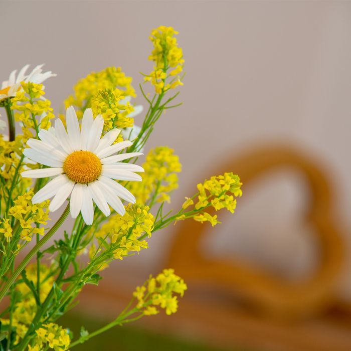 Ferienwohnung Sonnenkopf, Allgäuer Bergblick in Fischen